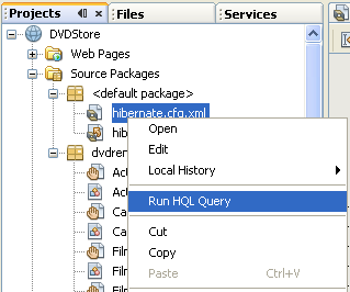 Running the HQL Query in NetBeans IDE