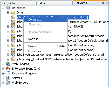 Step-by-step on the Java web application: Java Persistence API (JPA) and Java Server Faces (JSF) Java DB database project screenshots