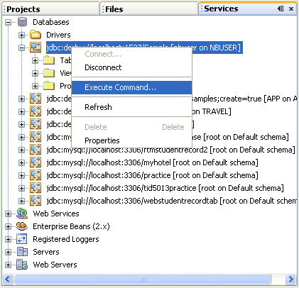 Step-by-step on the Java web application: Java Persistence API (JPA) and Java Server Faces (JSF) Java DB database project screenshots