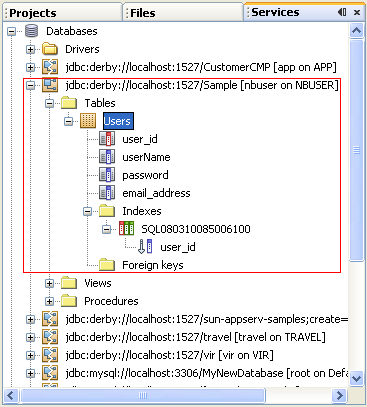 Step-by-step on the Java web application: Java Persistence API (JPA) and Java Server Faces (JSF) Java DB database project screenshots
