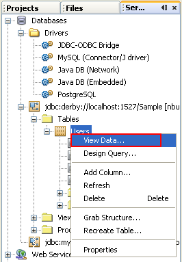 Step-by-step on the Java web application: Java Persistence API (JPA) and Java Server Faces (JSF) Java DB database project screenshots