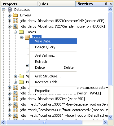 Step-by-step on the Java web application: Java Persistence API (JPA) and Java Server Faces (JSF) Java DB database project screenshots