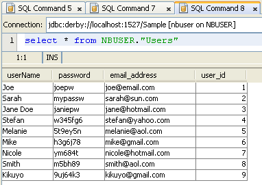 Step-by-step on the Java web application: Java Persistence API (JPA) and Java Server Faces (JSF) Java DB database project screenshots