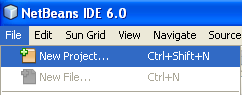 Step-by-step on the Java web application: Java Persistence API (JPA) and Java Server Faces (JSF) Java DB database project screenshots