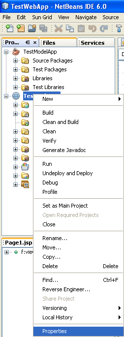 Step-by-step on the Java web application: Java Persistence API (JPA) and Java Server Faces (JSF) Java DB database project screenshots