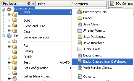 Step-by-step on the Java web application: Java Persistence API (JPA) and Java Server Faces (JSF) Java DB database project screenshots