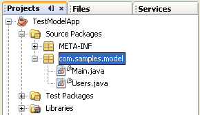 Step-by-step on the Java web application: Java Persistence API (JPA) and Java Server Faces (JSF) Java DB database project screenshots