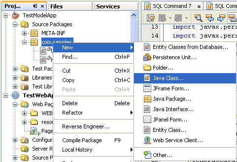 Step-by-step on the Java web application: Java Persistence API (JPA) and Java Server Faces (JSF) Java DB database project screenshots