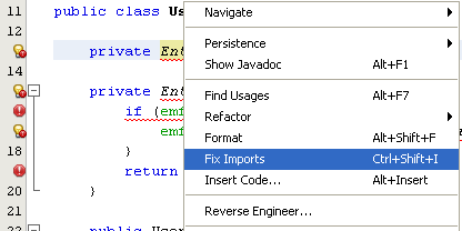 Step-by-step on the Java web application: Java Persistence API (JPA) and Java Server Faces (JSF) Java DB database project screenshots