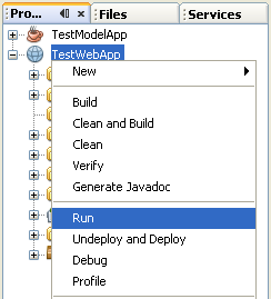 Step-by-step on the Java web application: Java Persistence API (JPA) and Java Server Faces (JSF) Java DB database project screenshots
