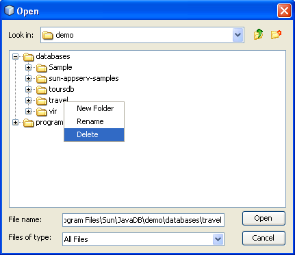 Step-by-step on the Java web application: Java Persistence API (JPA) and Java Server Faces (JSF) Java DB database project screenshots