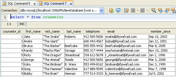 Step-by-step Java web application using MySQL database development screeshots
