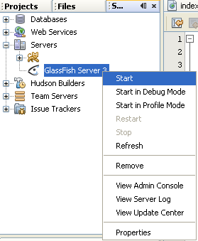NetBeans IDE: selecting the Java web application project, starting the GlassFish server from NetBeans IDE