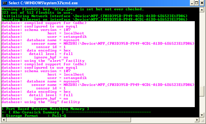 Testing new Snort config file from Windows command line